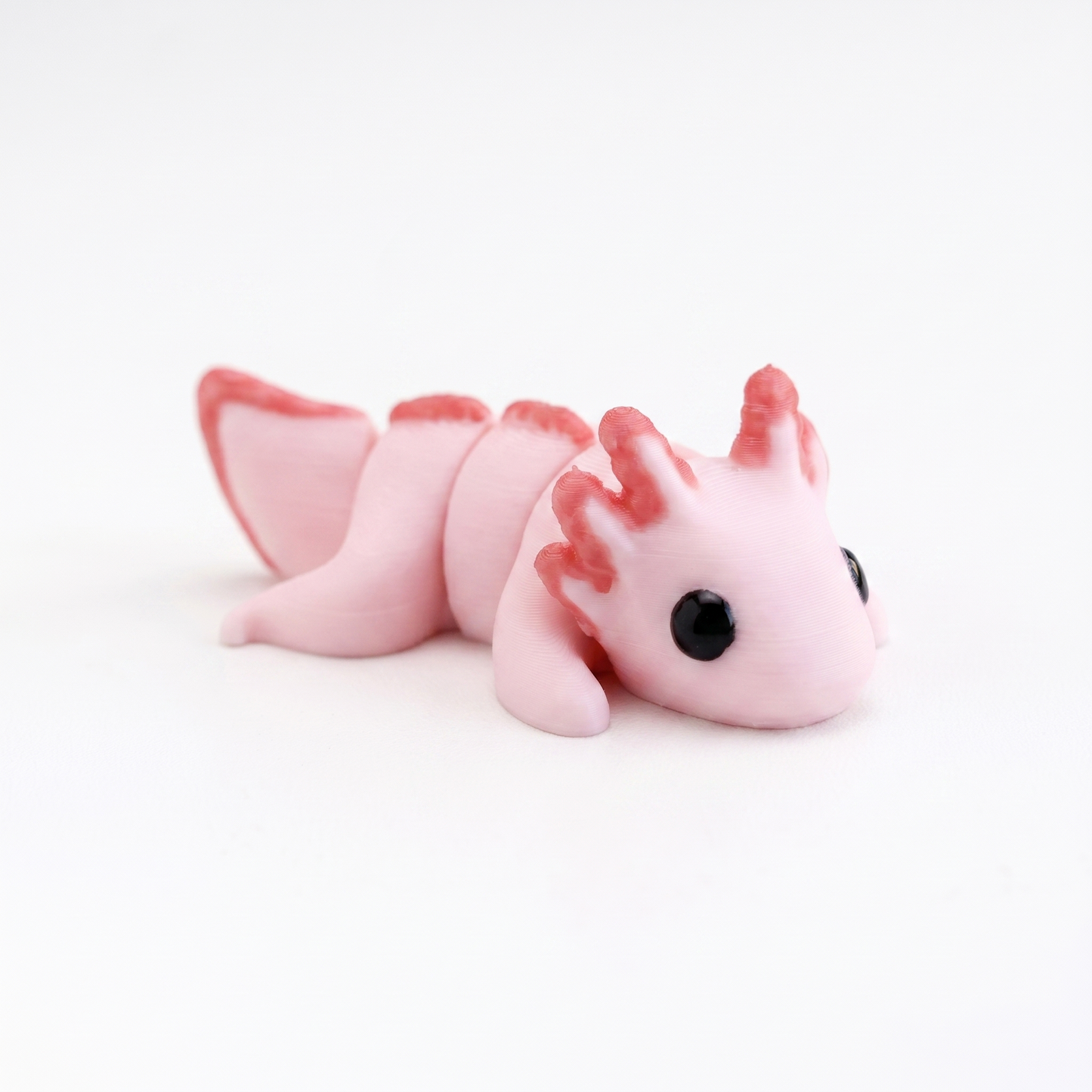 Axolotl