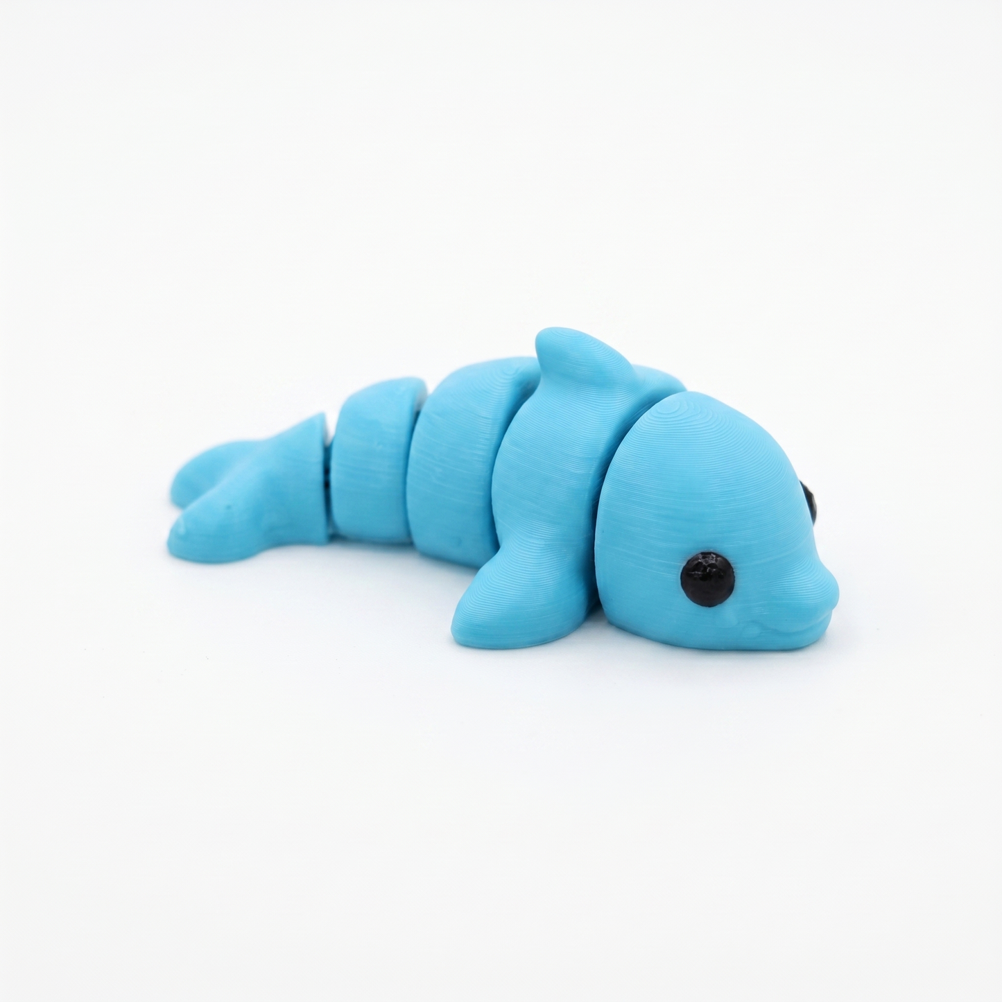 Dolphin