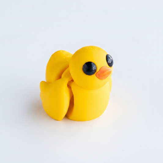 Duck