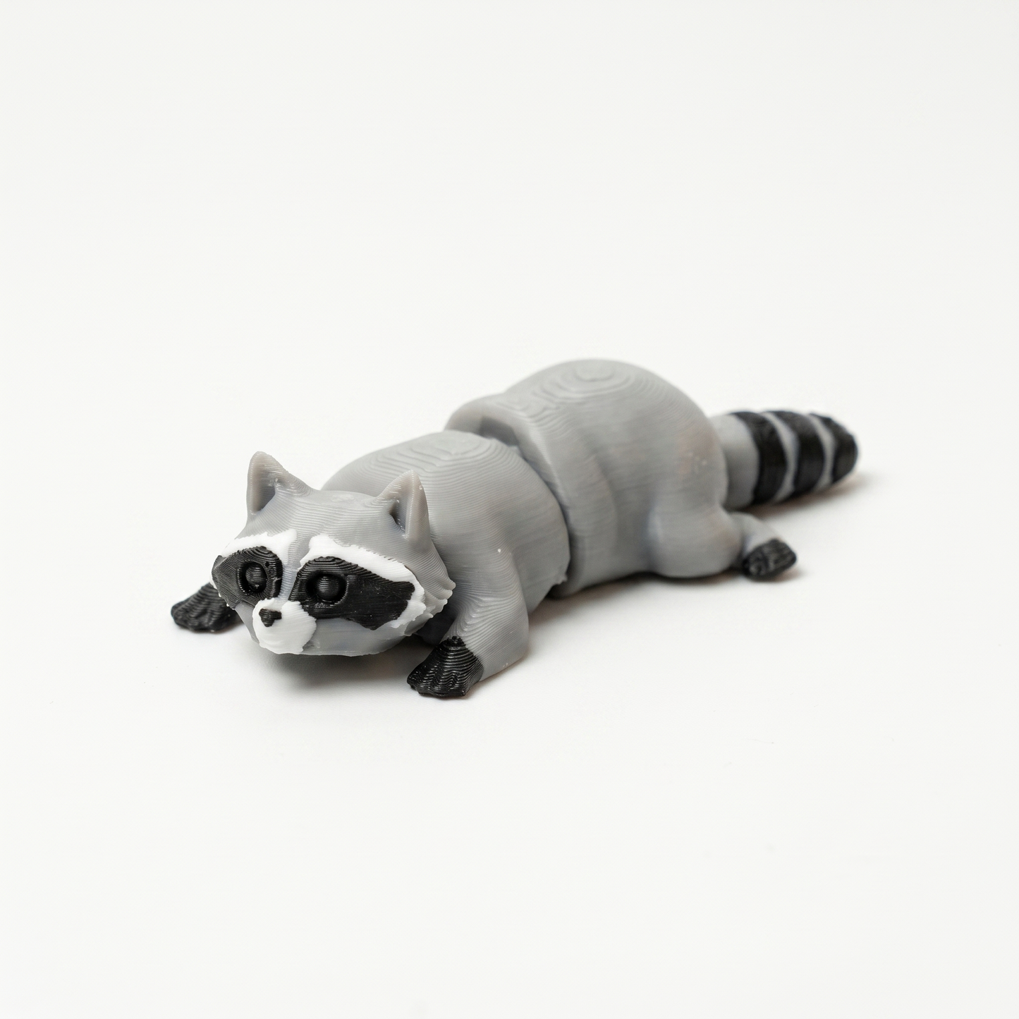Racoon