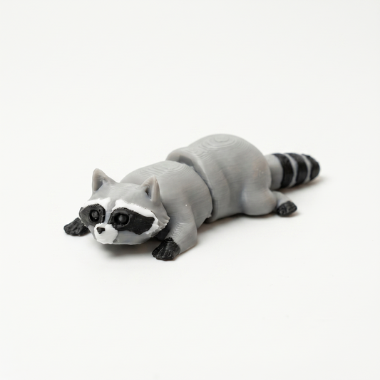 Racoon