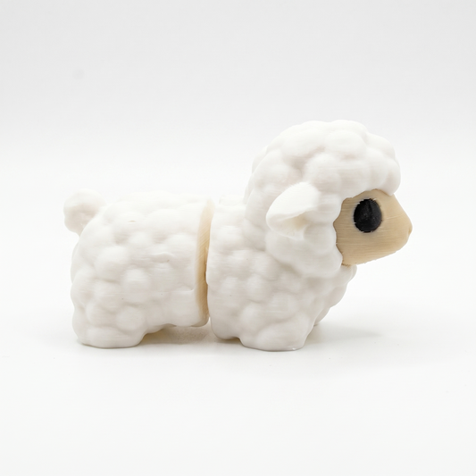 Sheep